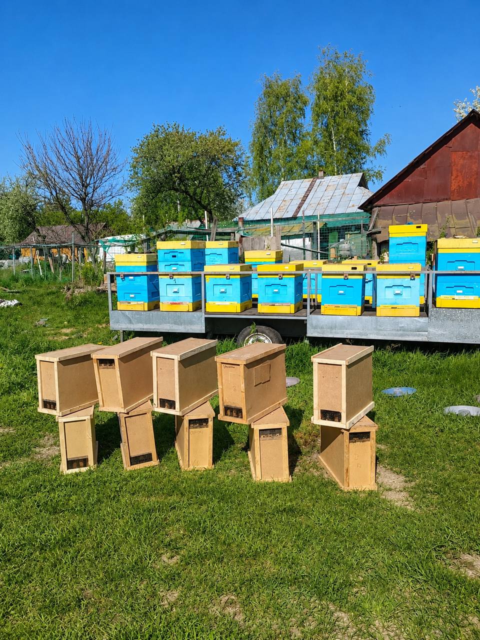 Садиба «Шеллс» — родинне господарство на Київщині